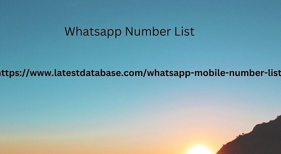 Whatsapp Number List