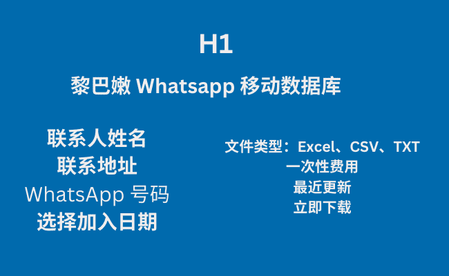 黎巴嫩 Whatsapp 移动数据库